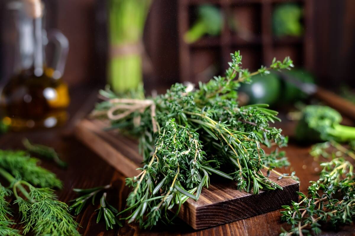 Bundle of herbs on a wooden cutting board