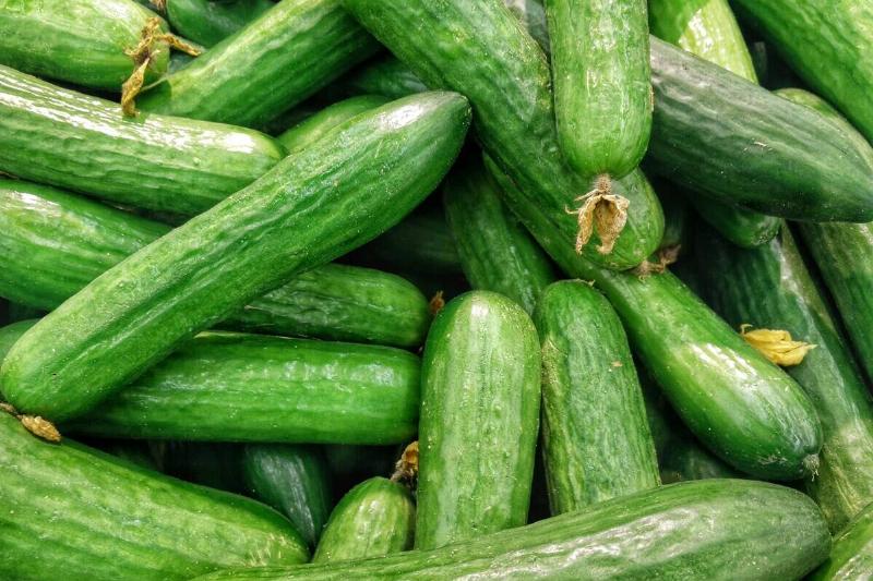 Pile of cucumbers