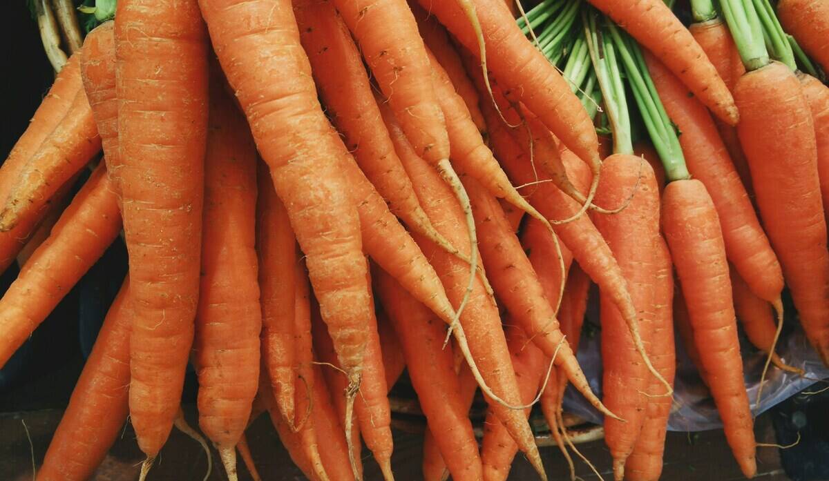 Bundle of carrots