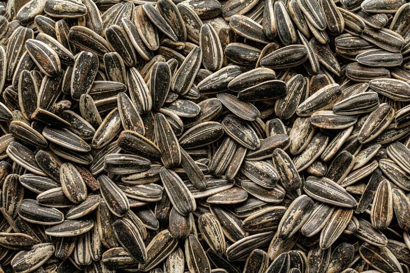 Close-up of sunflower seeds