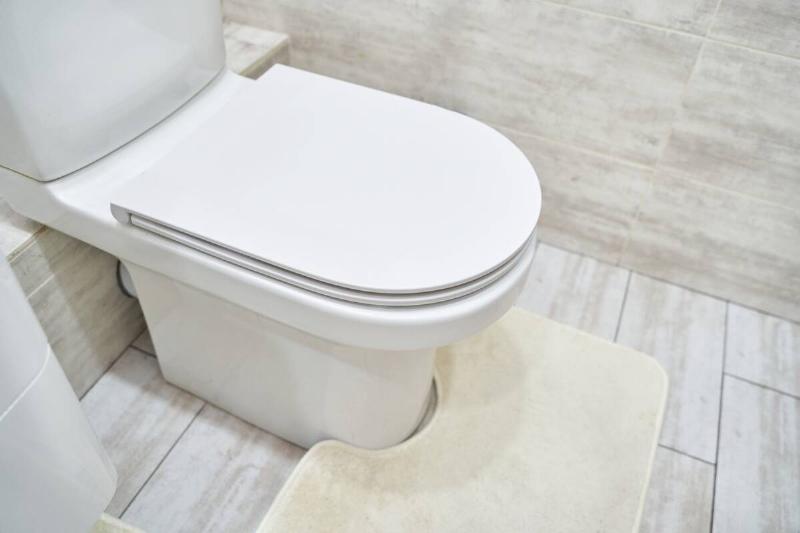 A toilet with a closed lid. 