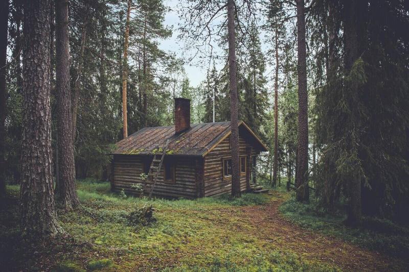 Wood cabin in the middle of a forest