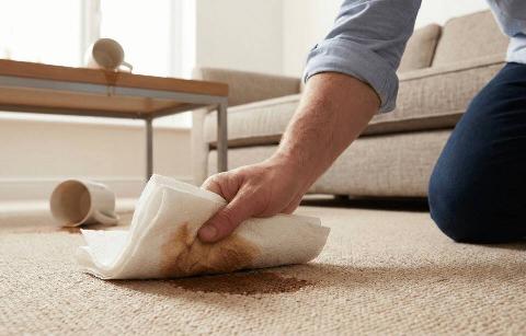 A hand using a paper towel to clean up a spill on carpet. 