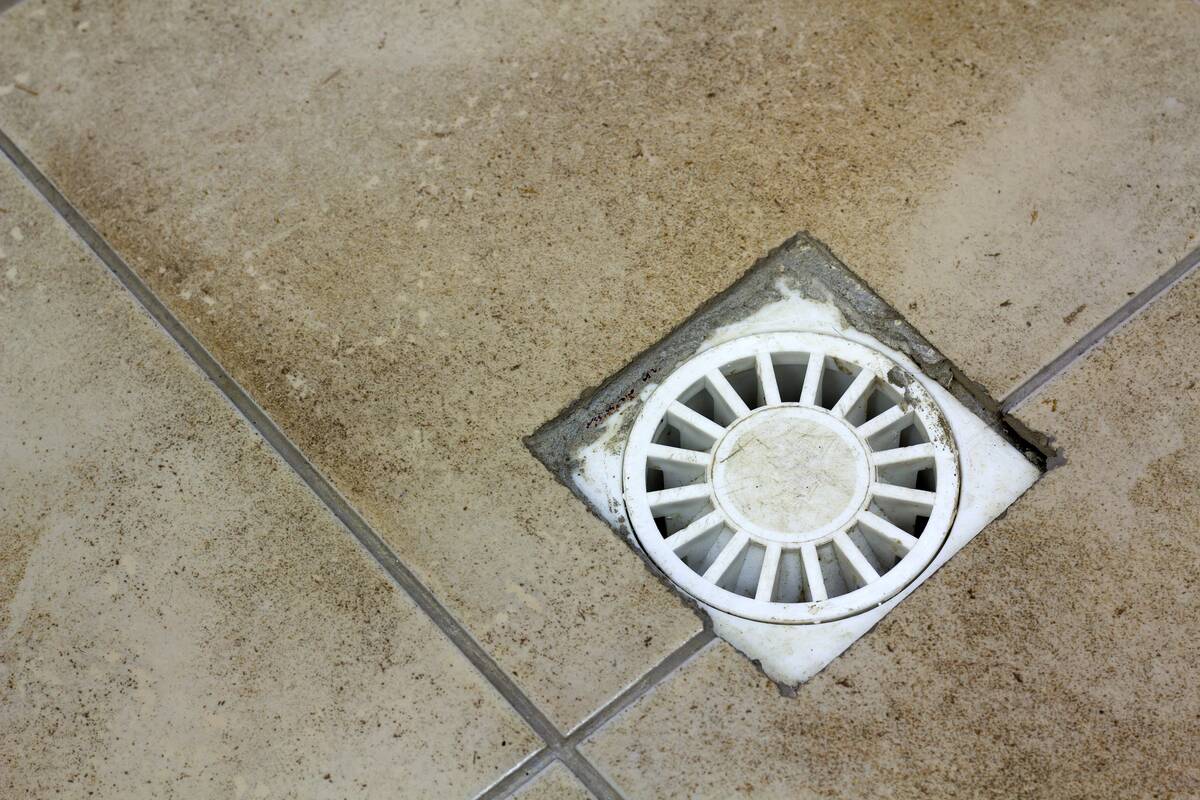 Overhead view of a bathroom water drain vent