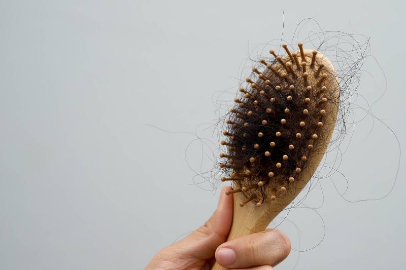 A hairbrush with dark hair in it. 