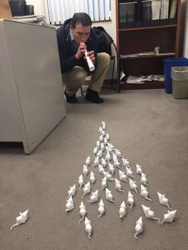 bored-at-office-got-an-idea-for-you-v0-gj1p1coq2re21