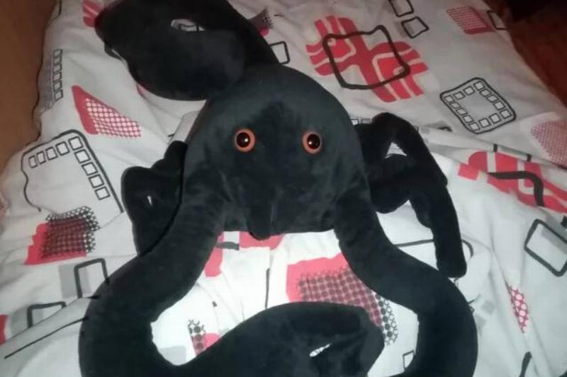 bought-this-scorpion-plushie-on-temu-during-their-halloween-v0-guudz5ltfg3f1