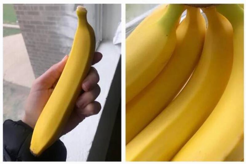 i-bought-some-suspiciously-perfect-bananas-yesterday-v0-lpprnlebjts41