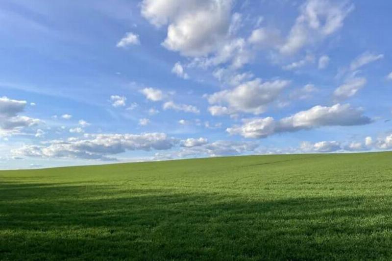 i-shot-a-perfect-windows-xp-background-v0-xsjnti7gtsng1