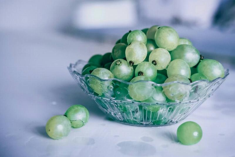 jerry-wang-F6lHEP87YGc-unsplash