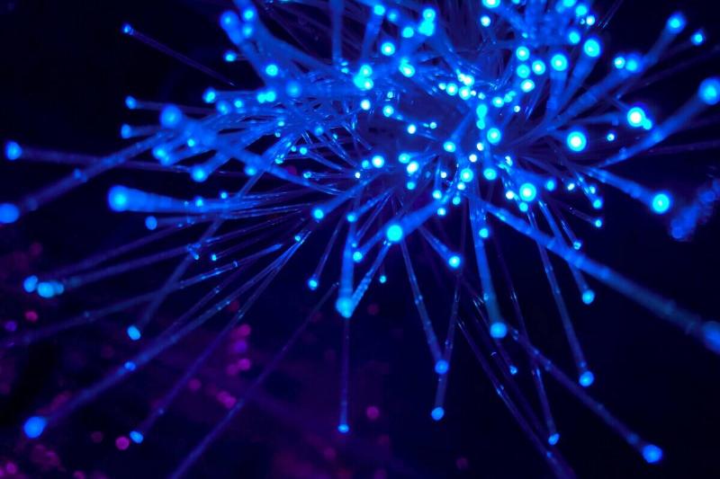 jj-ying-8bghKxNU1j0-unsplash