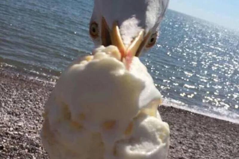 just-a-pic-that-my-friend-took-down-at-the-beach-the-other-v0-r6d0blt7fzzz