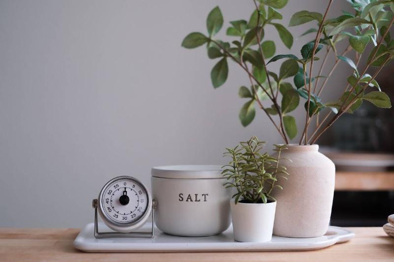 Salt on a counter beside a potted plant. 