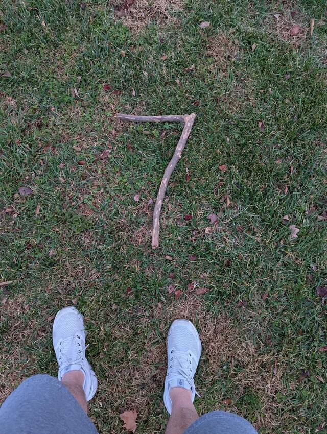 my-son-found-a-stick-thats-a-perfect-7-v0-k7pwao3ujo2g1