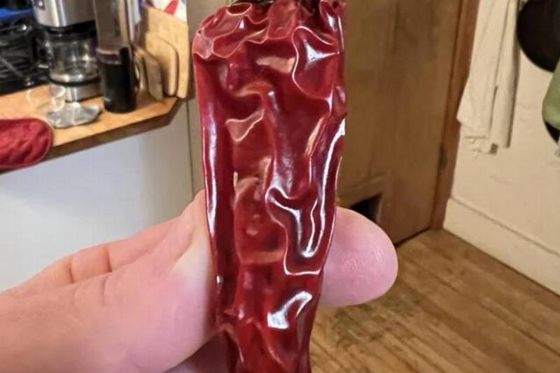 pepper-that-fell-behind-the-fridge-dried-perfectly-instead-v0-u7wxgtepn6xf1