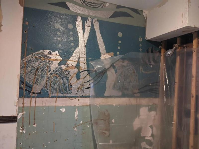 remodeling-a-bathroom-and-i-found-a-mural-v0-0nk237dswapb1