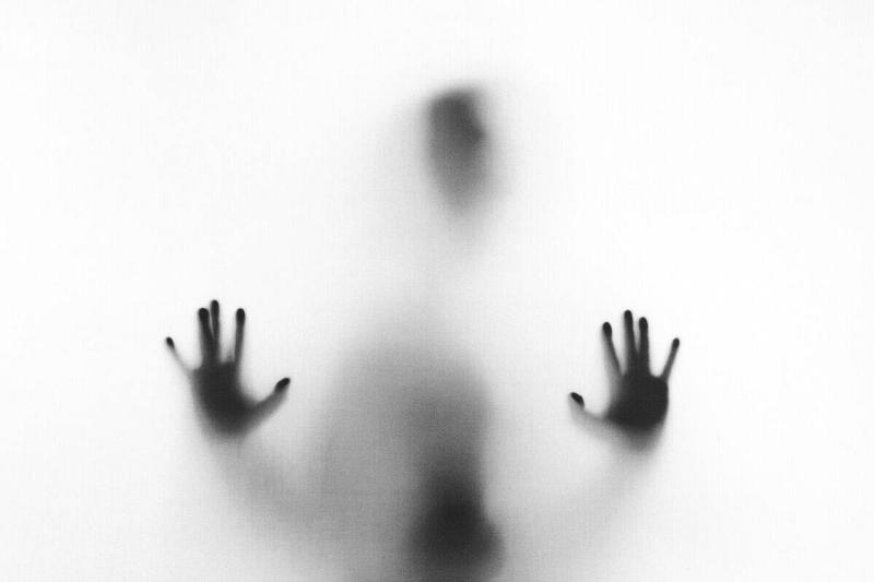 stefano-pollio-ZC0EbdLC8G0-unsplash