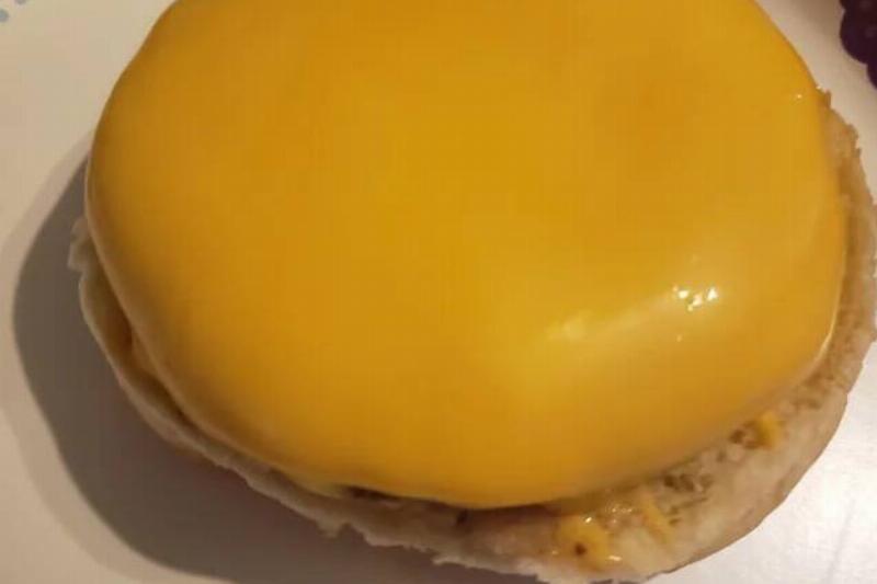 the-way-the-cheese-perfectly-engulfed-my-hamburger-patty-v0-xb0jqksz45931
