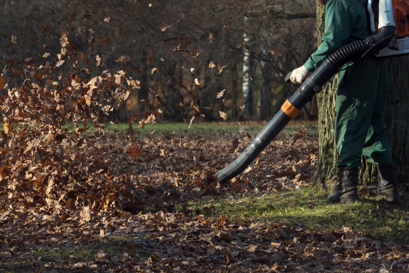 A person leaf blowing. 