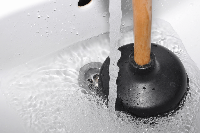 A plunger on a bathroom sink.