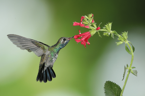 2-90273-16156