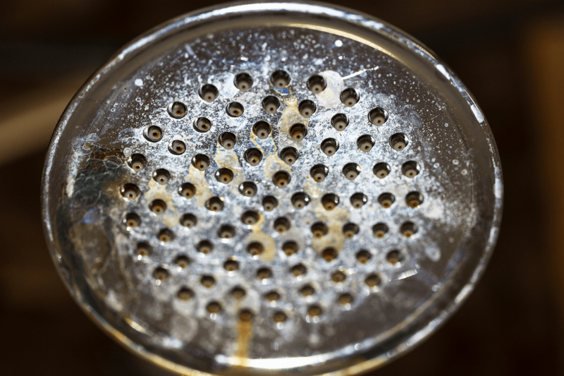 Mineral buildup on a shower head. 