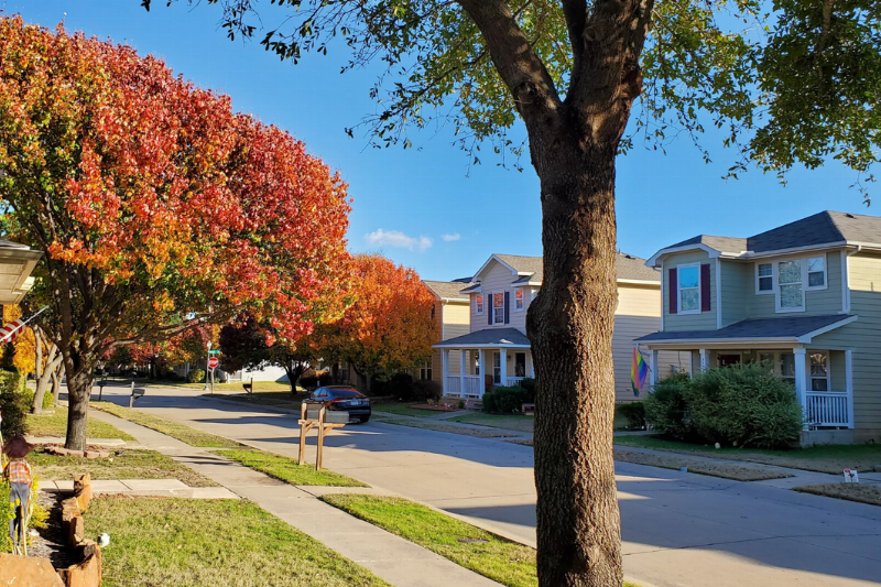 A tree in a neighborhood. 