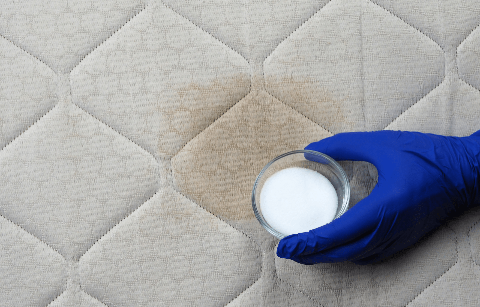 A hand holding baking soda on a mattress. 