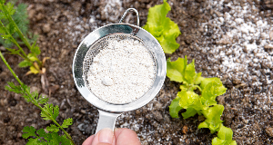 Baking Soda Is A Great DIY Weed Killer
