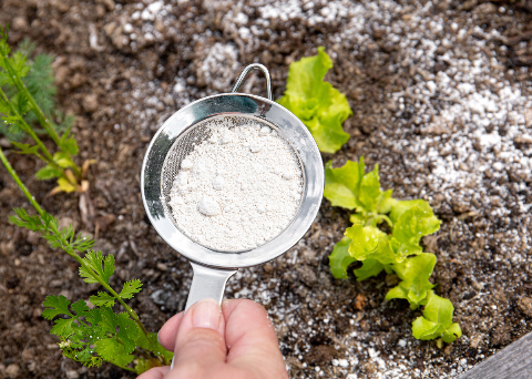 Baking-Soda-1-48982-14807