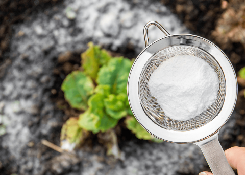 Baking-Soda-28604-43757