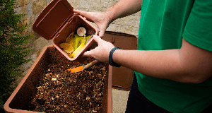 The Benefits of Composting: Why You Should Start Today