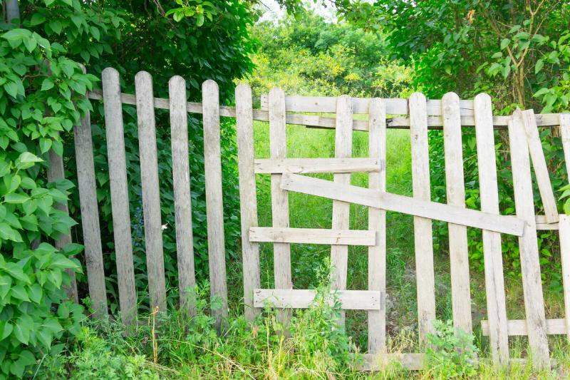 A wooden fence in a garden.