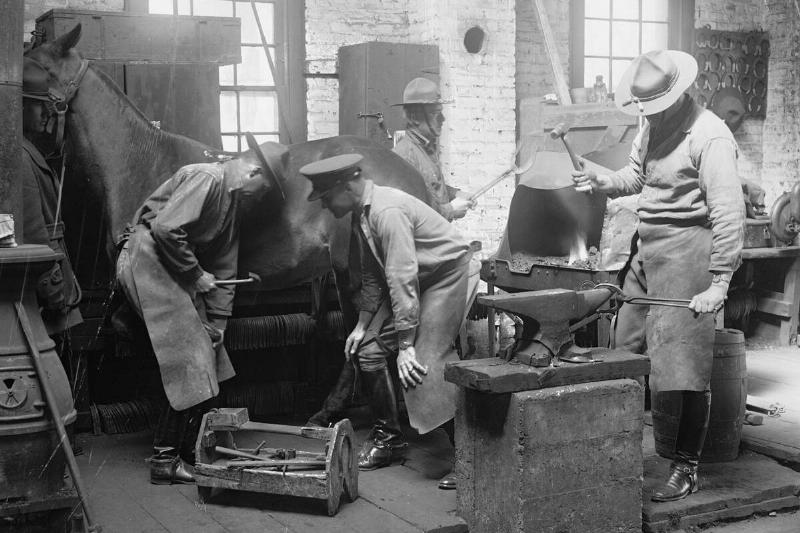 Army Blacksmiths Shoe Horses