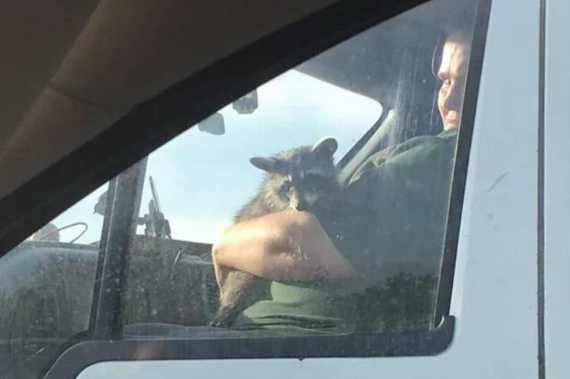 driving-along-the-motorway-and-get-overtaken-by-v0-1xrgegfsc0sz