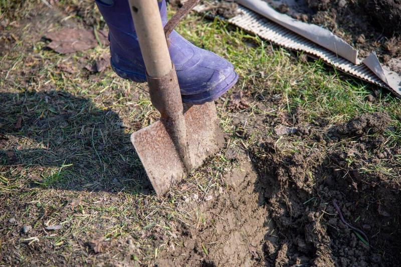 A gardener in rain boots stepping on a shovel. 