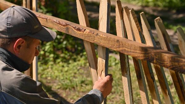 A man removing slats from an old fence. 