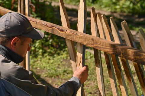 A man removing slats from an old fence. 