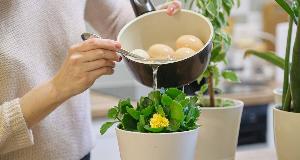 Easy Gardening Hacks That Will Help Your Garden Grow Strong