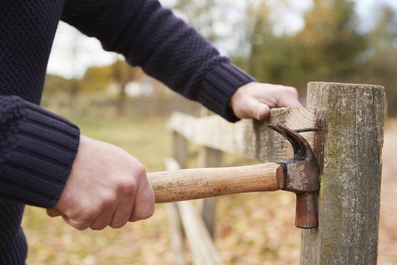 Mature Man Removing Nail From Fence with hammer. 