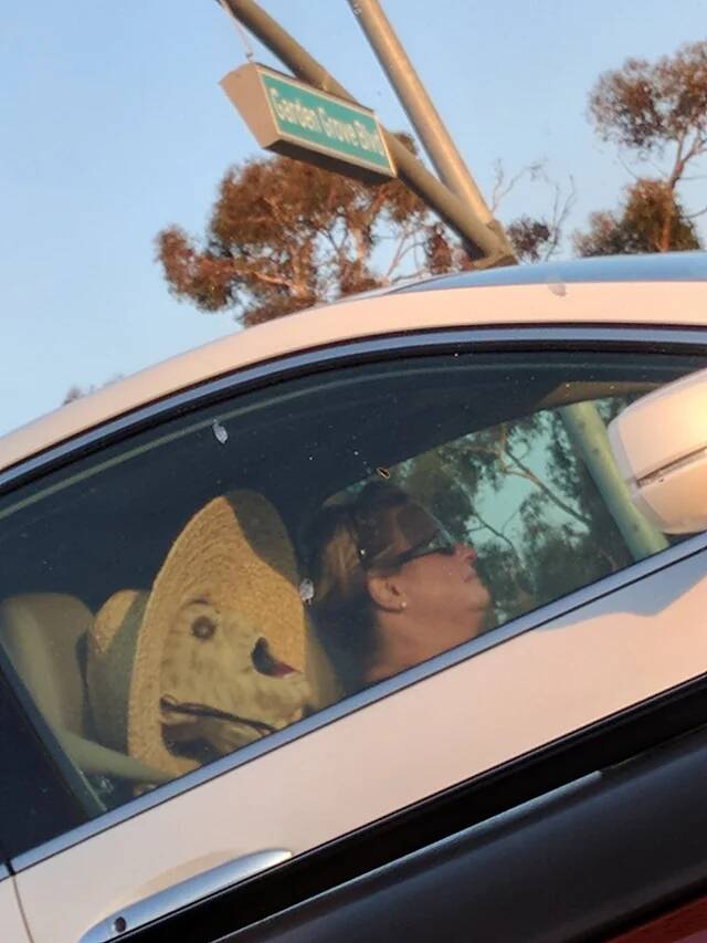 pulled-up-next-to-me-at-a-red-light-v0-6w7cyd64TKrpY7SIZzg8XKzUg90HZiUuwOFo1MsVfA0