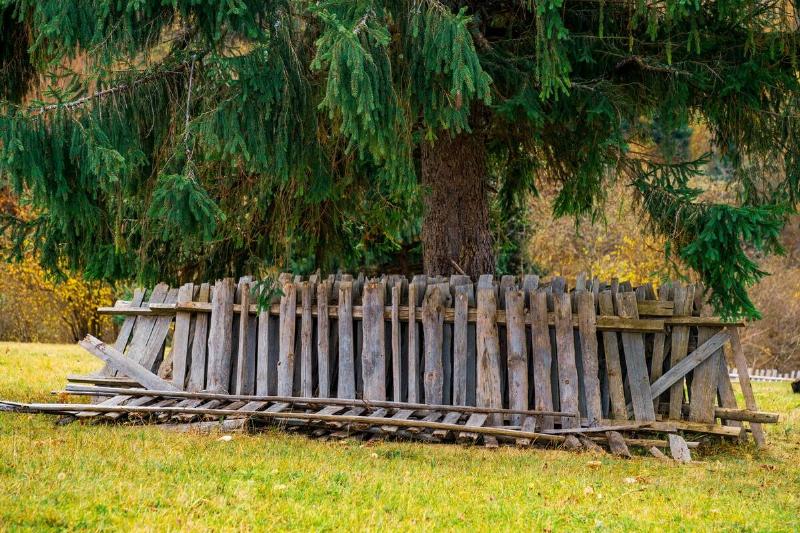 An old collapsed fence lies in a fresh green meadow near a large deciduous tree.
