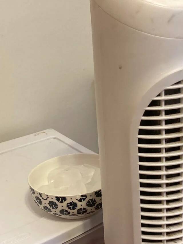 this-bowl-of-ice-behind-my-stand-up-fan-works-amazing-to-v0-pl5erp8j3tc71