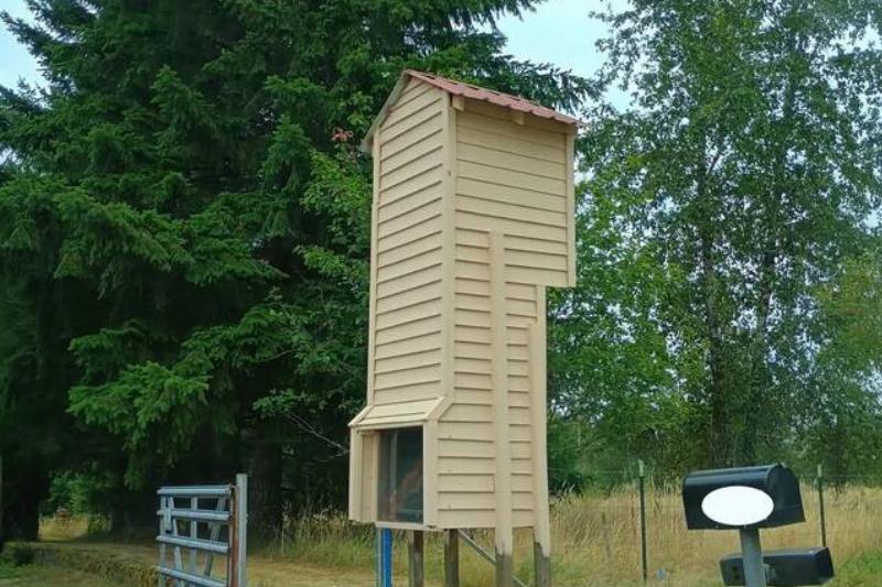 we-keep-seeing-this-on-the-side-of-the-road-in-oregon-its-v0-9ik0tv92slmf1