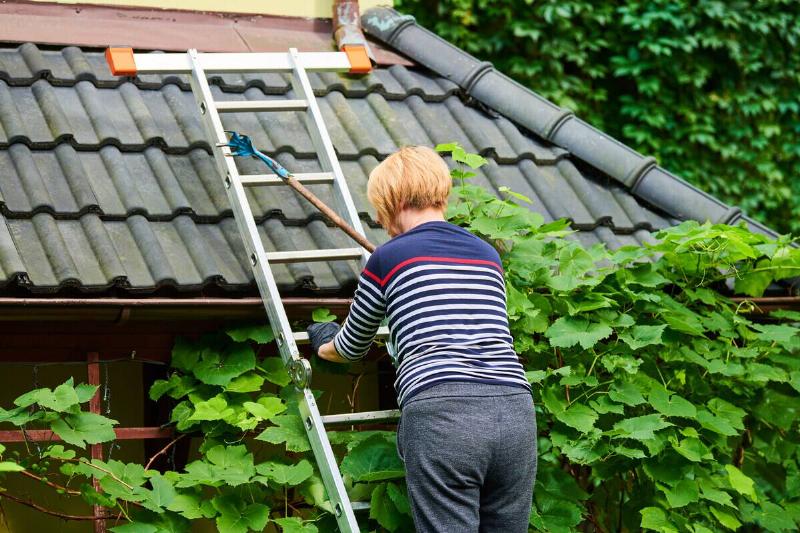 A woman on a ladder near a roof. 