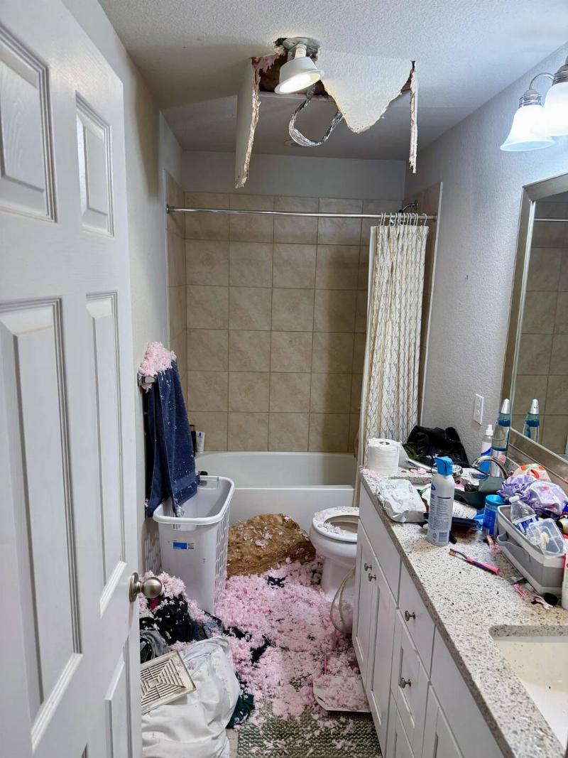 fell-through-my-ceiling-trying-to-fix-it-before-the-wife-v0-qmp2r6yx5jpg1