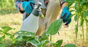 9 Lawn Care Mistakes That Could Be Ruining Your Grass