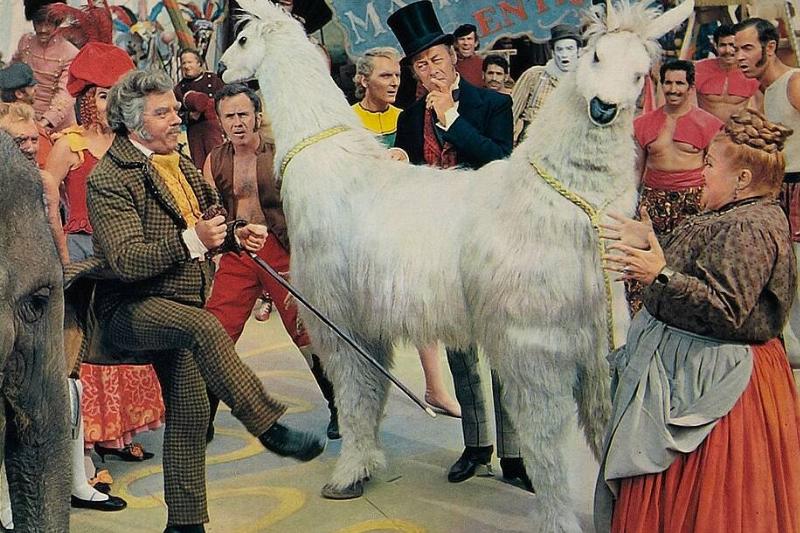 doctor-dolittle_maJcPq