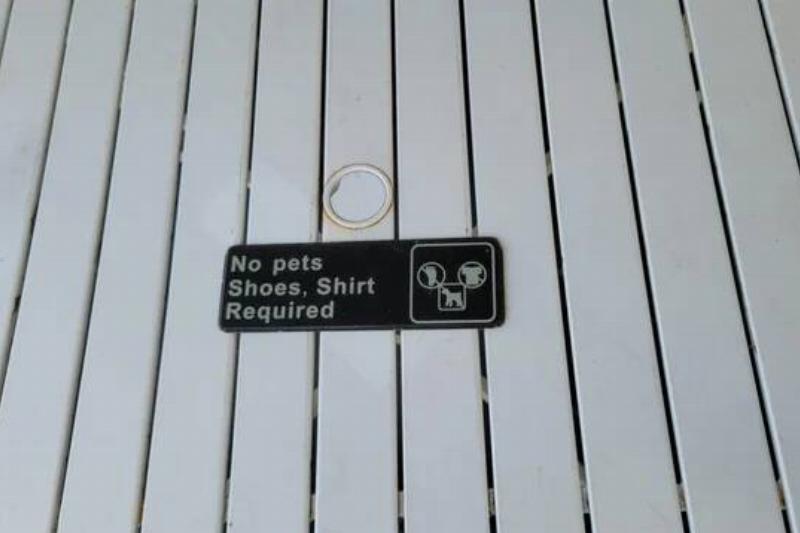 they-may-not-be-required-but-are-they-allowed-v0-ifb7gu8fg1eh1