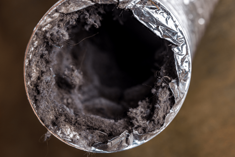 Lint in a dryer vent.
